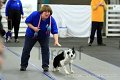 IMG_9168