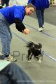 IMG_9171