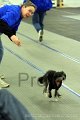 IMG_9172