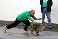 IMG_9176