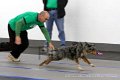 IMG_9177