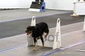 IMG_9229