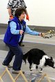 IMG_9234