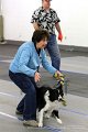 IMG_9237