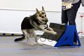 IMG_9261