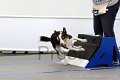 IMG_9266