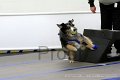 IMG_9271