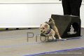 IMG_9274