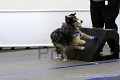IMG_9278