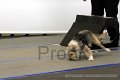 IMG_9281