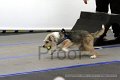 IMG_9282