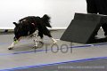 IMG_9286