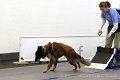 IMG_9302