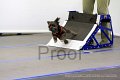 IMG_9318