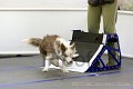 IMG_9321