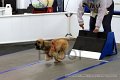 IMG_9331