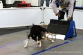 IMG_9334