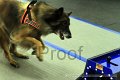 IMG_9357