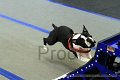 IMG_9378