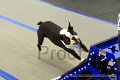 IMG_9427