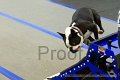 IMG_9429