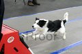 IMG_9518