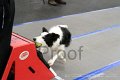 IMG_9520