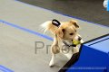 IMG_9531