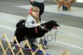 IMG_9644