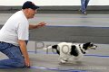 IMG_9646
