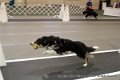 IMG_8091