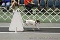 IMG_8135