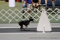 IMG_8142