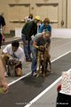 IMG_8232