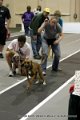 IMG_8234