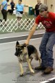 IMG_8308