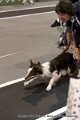 IMG_8365