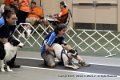IMG_8403