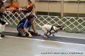 IMG_8404