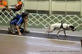 IMG_8405