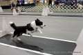 IMG_8421