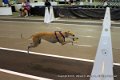 IMG_8461