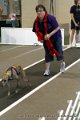 IMG_8469