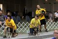 IMG_0223
