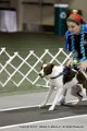 IMG_0257
