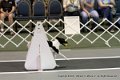 IMG_0264