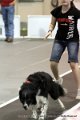 IMG_0284