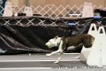 IMG_0293