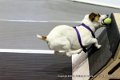 IMG_0316