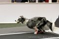 IMG_0347